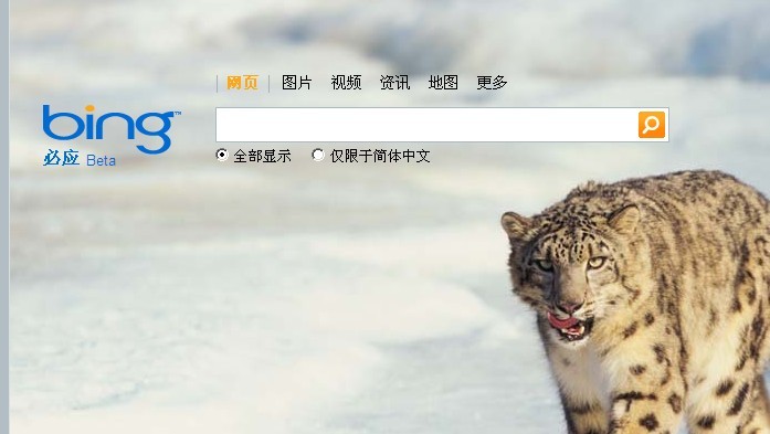 微软“病”的不轻——bing必应的一场闹剧
